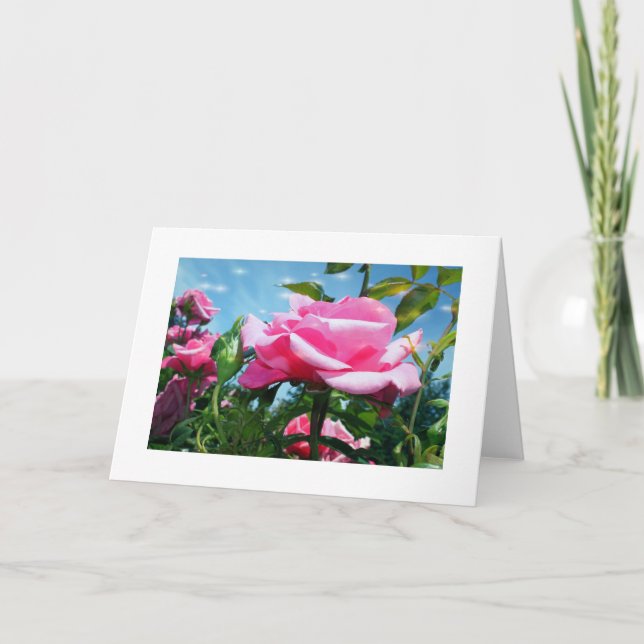 Underbart rosa ros i blå himmel. Floral-fotografi Helgkort (Framsida)