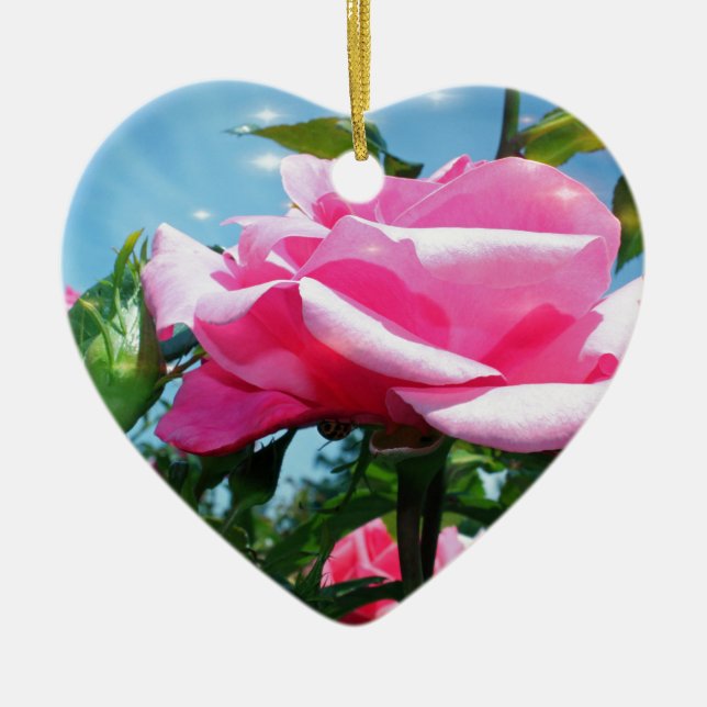 Underbart rosa ros i blå himmel. Floral-fotografi Julgransprydnad Keramik (Framsidan)