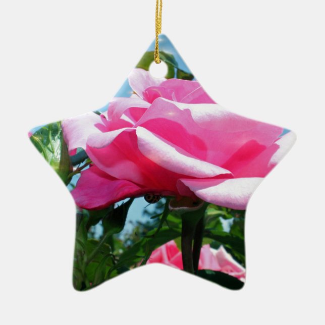 Underbart rosa ros i blå himmel. Floral-fotografi Julgransprydnad Keramik (Framsidan)