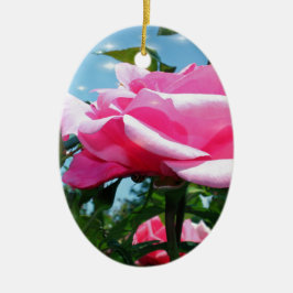 Underbart rosa ros i blå himmel. Floral-fotografi Julgransprydnad Keramik