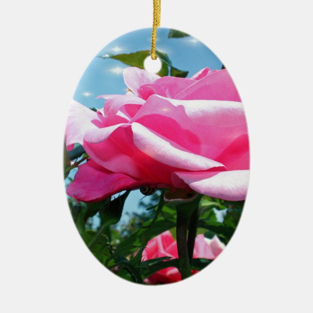 Underbart rosa ros i blå himmel. Floral-fotografi Julgransprydnad Keramik (Framsidan)