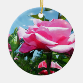 Underbart rosa ros i blå himmel. Floral-fotografi Julgransprydnad Keramik