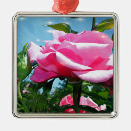 Underbart rosa ros i blå himmel. Floral-fotografi Julgransprydnad Metall