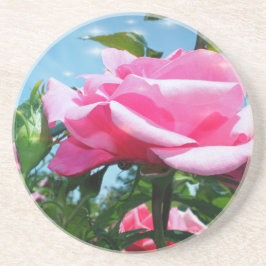 Underbart rosa ros i blå himmel. Floral-fotografi Underlägg