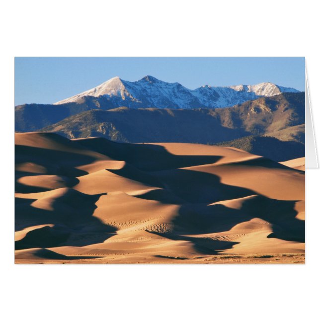 Underbart Sand Dunes NP vid Sunset Blank Card OBS Kort (Framsidan Horizontal)