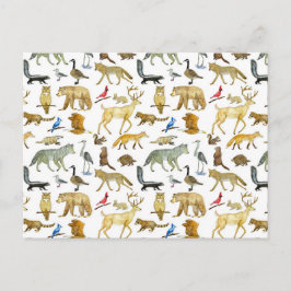 Underbart Sjöar-vykort för vilda djur Vykort