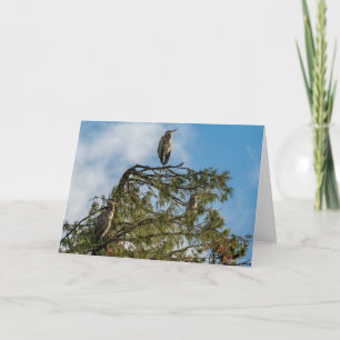 Underbart tack för Blå Heron Roost-kortet Kort