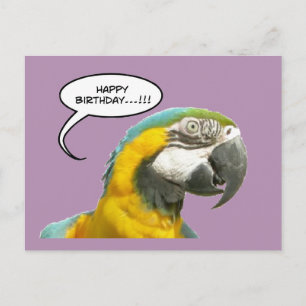 Underbart talking Parrot Birthday Postcard Vykort