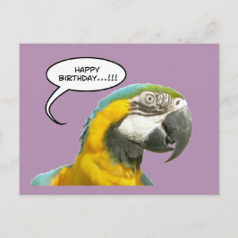 Underbart talking Parrot Birthday Postcard Vykort