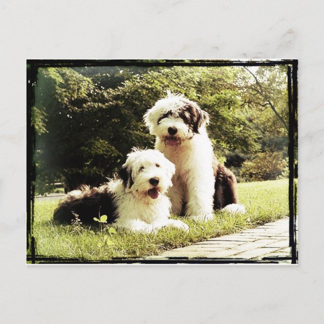 Underbart utomhus! vykort (Framsida)