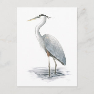 Underbart vykort för blå Heron