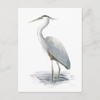 Underbart vykort för blå Heron
