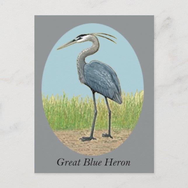 Underbart vykort för blå Heron (Framsida)