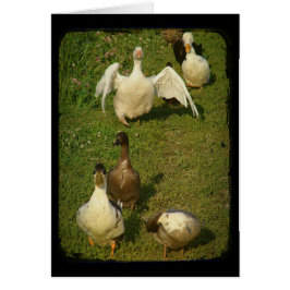 Underbart Waterfowl Hälsningskort
