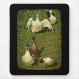 Underbart Waterfowl Musmatta