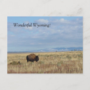 Underbart Wyoming! vykort