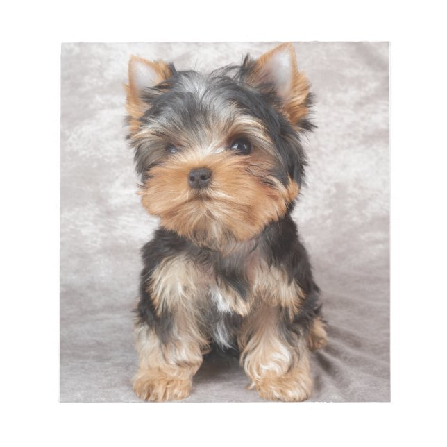 Underbart yorkie anteckningsblock (Framsida)