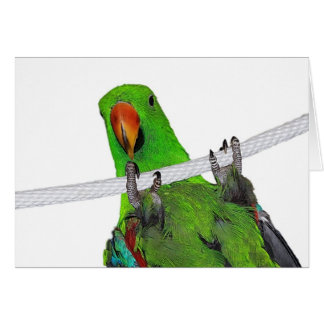 Underhållaren Hälsningskort