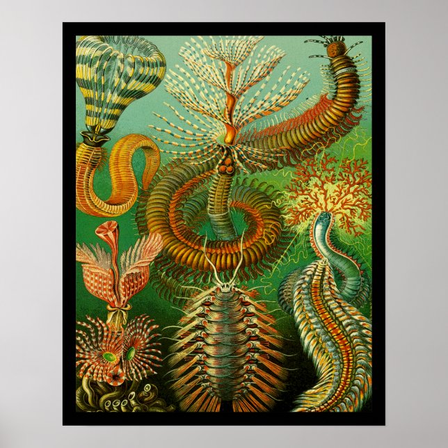 Underhav Färg Poster (Framsidan)