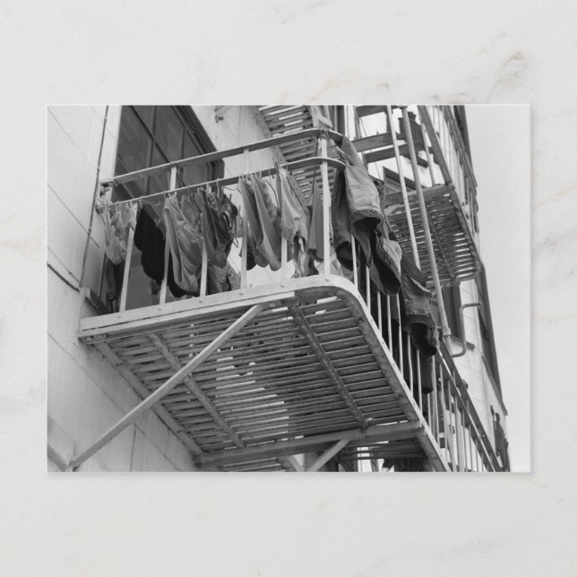 Underkläder ut till Humor Black and White Photo Vykort (Framsida)