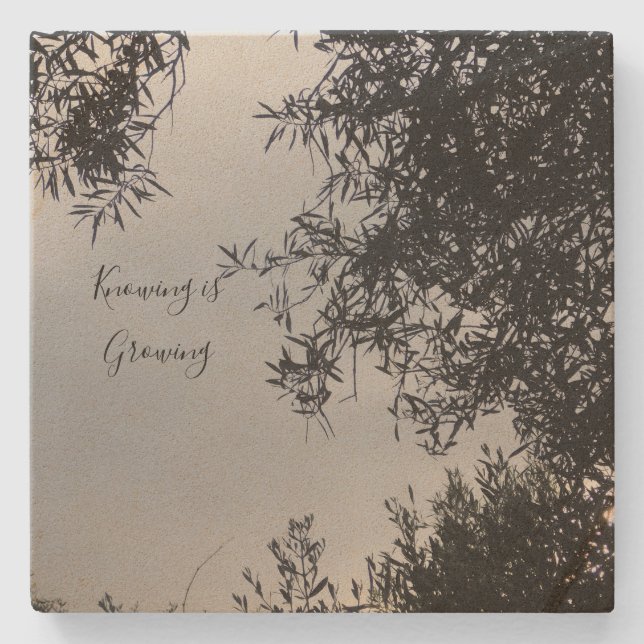 underlägg (Framsidan)