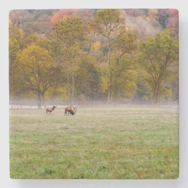 Underlägg av bete för Elk-par (Framsidan)