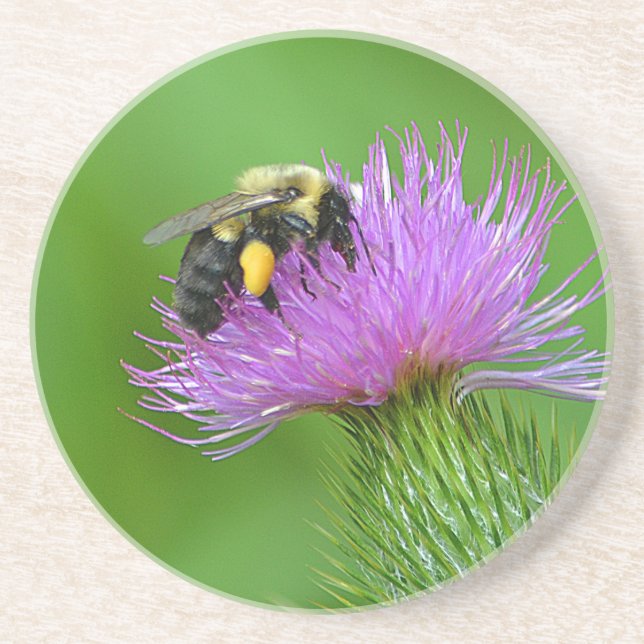 Underlägg av bin och Thistle Sandstone (Framsidan)