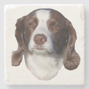 underlägg av brun och vit Hund