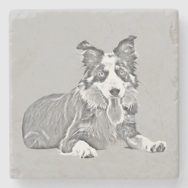 Underlägg av den vackra pennan Gräns Collie Marble (Framsidan)