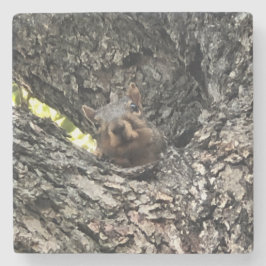 Underlägg av ekorre