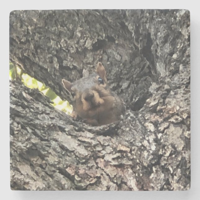 Underlägg av ekorre (Framsidan)