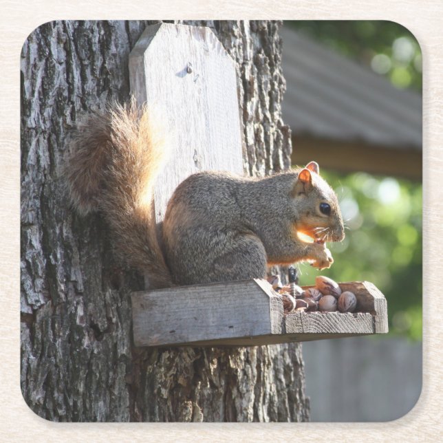 Underlägg av ekorre papper kvadrat (Framsidan)