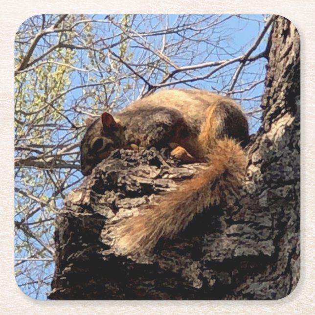 Underlägg av ekorre papper kvadrat (Framsidan)