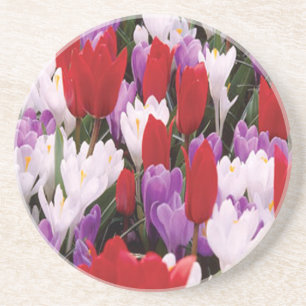Underlägg av färgade tulpanblommor