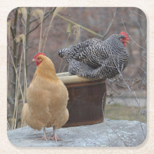Underlägg av innehållna Chickens Party Papper Kvadrat