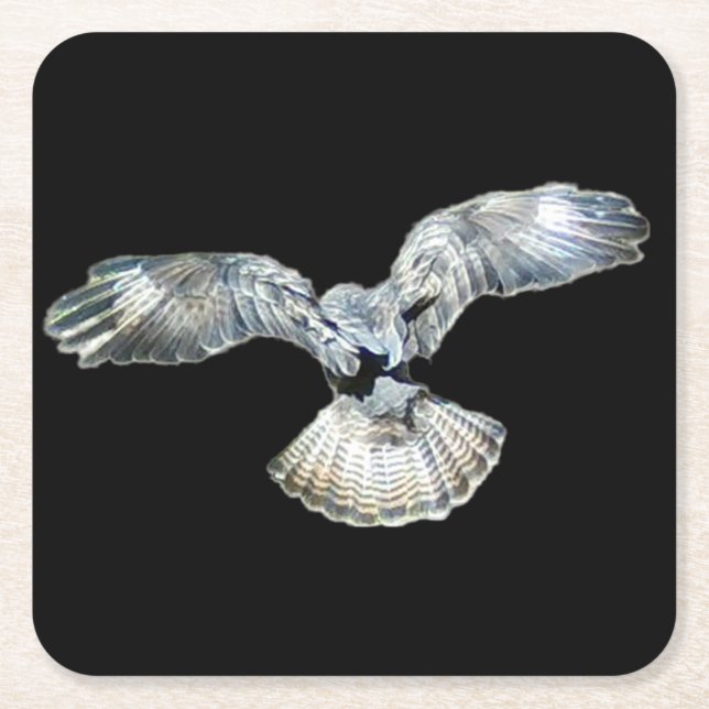 Underlägg av landning av Vingar och Svan vid kustn (Framsidan)