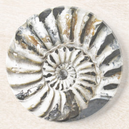 Underlägg av Petrified Nautical Fossil Beach House