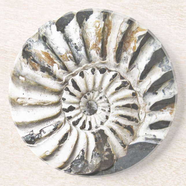 Underlägg av Petrified Nautical Fossil Beach House (Framsidan)