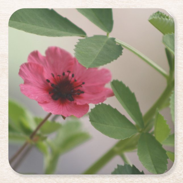 Underlägg av rosa-blomma (Framsidan)