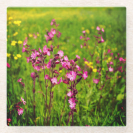 underlägg av rosa blommor