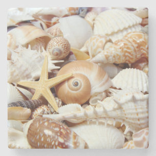 Underlägg av Seashells Stone Sten