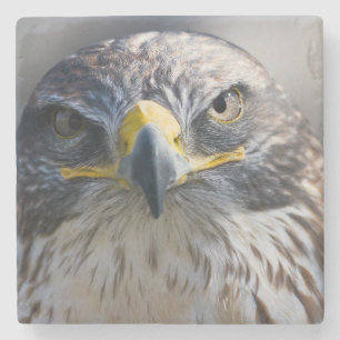 Underlägg av vackert Eagle Stone