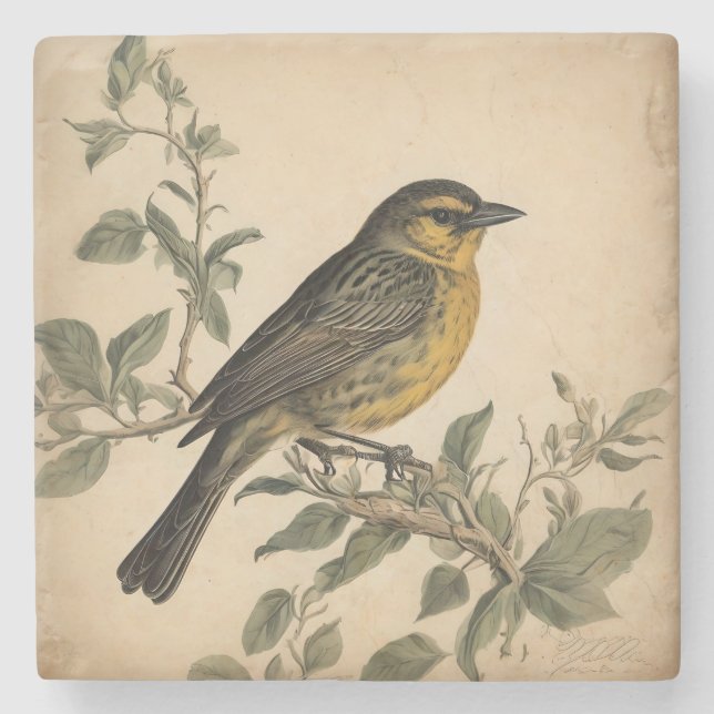 Underlägg av vintagens fågelutskriftssten (Framsidan)