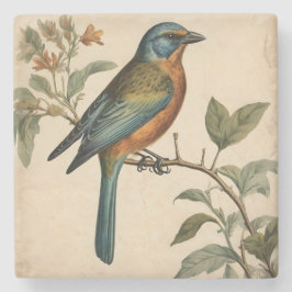 Underlägg av vintagens fågelutskriftssten