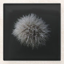 Underlägg av vitt dandelionglas