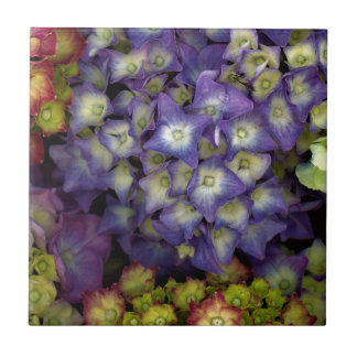 Underlägg, Blomsterträdgård Hydrangea Kakelplatta