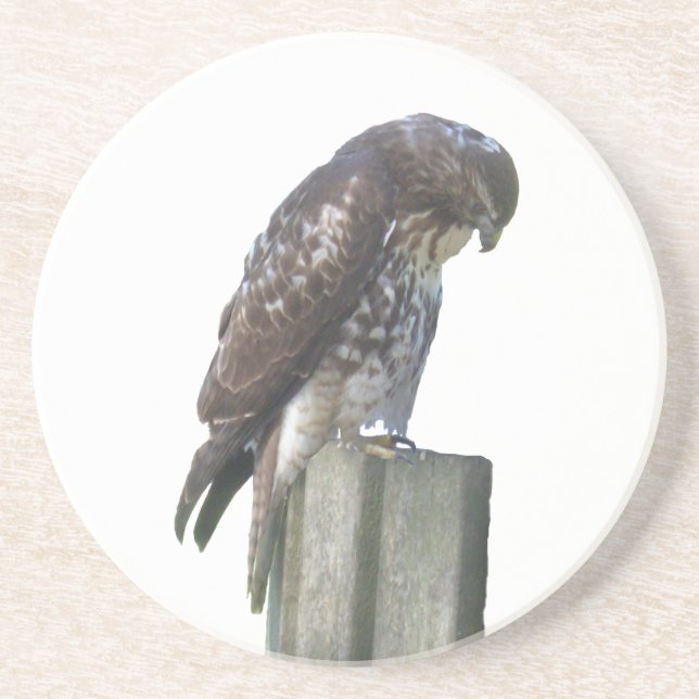 Underlägg - Falkon Sandsten (Framsidan)