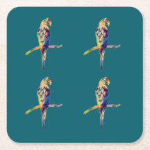 Underlägg färglös papegoja