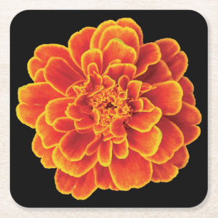 Underlägg för vackert Marigold Papper Kvadrat