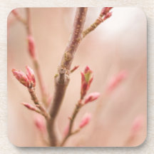 Underlägg för vårdrömkork